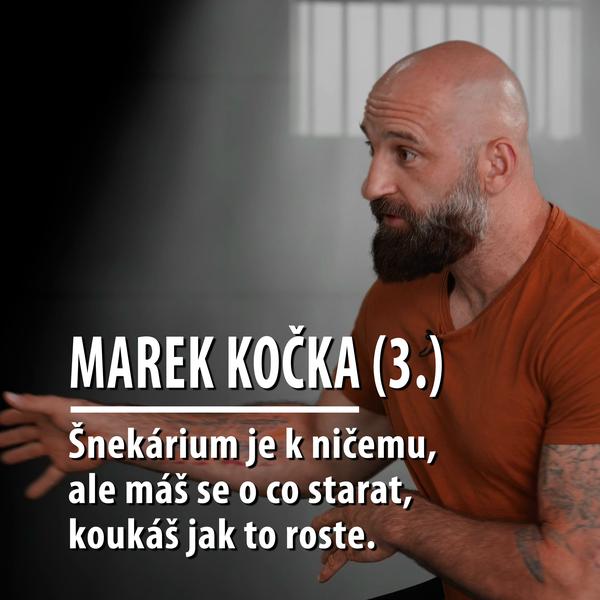 Motýl za katrem